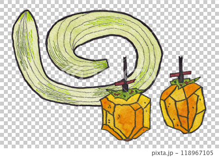 手描きの水彩画(絵手紙)「干し柿」と「蛇瓜(ヘビウリ)」 手描きの水彩画(絵手紙)「干し柿」と「蛇瓜(ヘビウリ)」 118967105
