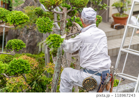働く高齢者　地域社会に　貢献　庭木の剪定サービス 118967243