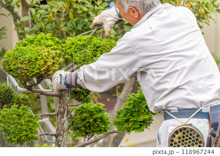 働く高齢者 地域社会に 貢献 庭木の剪定サービス 働く高齢者 地域社会に 貢献 庭木の剪定サービス 118967244