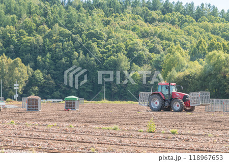 【富良野市　玉葱の収穫とトラクター】 118967653