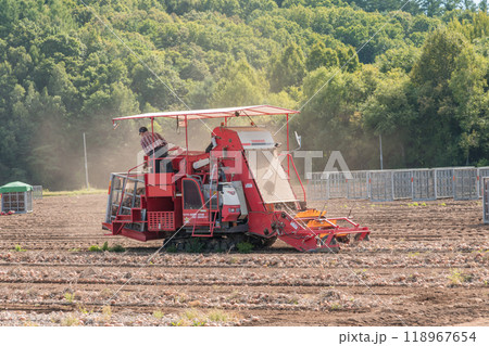 【富良野市　玉葱の収穫とトラクター】 118967654