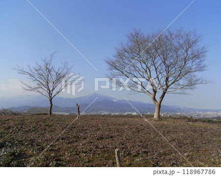 吉沢丘陵 118967786