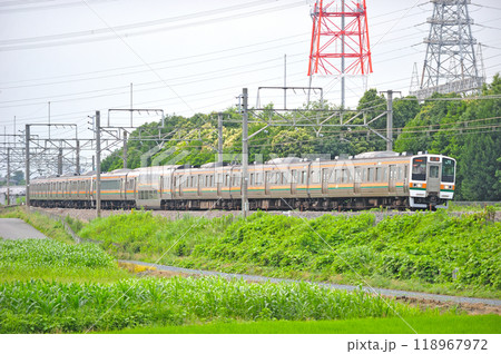 高崎線　本庄ー岡部　JR東日本　211系　C3編成（高崎） 118967972