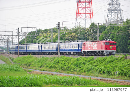 高崎線　本庄ー岡部　JR東日本　EF65-1118（田端）＋12系（高崎）　EL碓氷 118967977