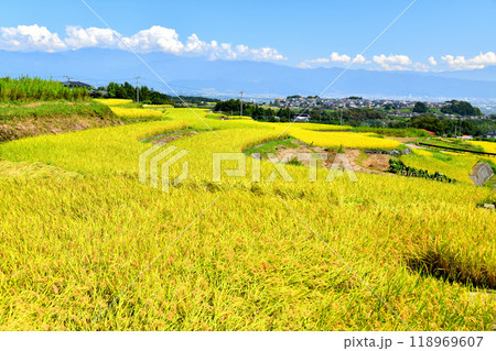 南アルプス市(中野の棚田)より甲府盆地方面を望む(山梨県南アルプス市)【2024.9】 南アルプス市(中野の棚田)より甲府盆地方面を望む(山梨県南アルプス市)【2024.9】 118969607