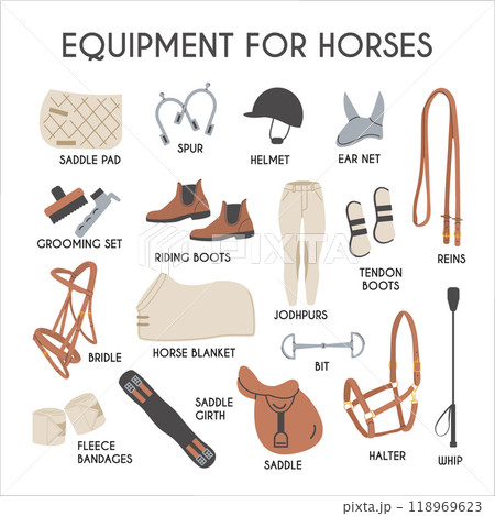 Equipment for horses infographic poster. Horse riding vector colored flat hand drawn icons. Equestrian equipment illustrations in trendy modern style. Equine sports tack. Yard ammunition card. Equipment for horses infographic poster. Horse riding vector colored flat hand drawn icons. Equestrian equipment illustrations in trendy modern style. Equine sports tack. Yard ammunition card. 118969623