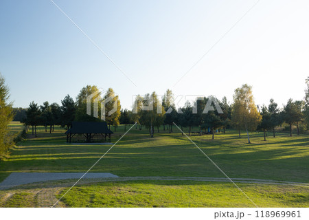 Beautiful autumn park scene with green foliage and falling leaves. Park in fall with lush green grass and seasonal foliage. Autumn fall park. Banner for design. 118969961