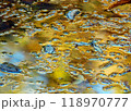 秋の水面 118970777