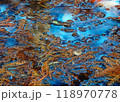 秋の水面 118970778