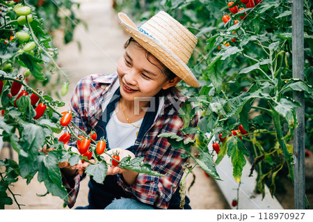 Asian woman proudly holds freshly picked tomatoes from her garden ready for cooking. Kitchen scene with homegrown produce for healthy homemade dishes. Nature's bounty in a square crop. 118970927