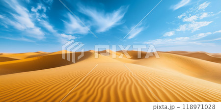 Sand dunes. Desert landscape with beautiful sand dunes and blue sky 118971028
