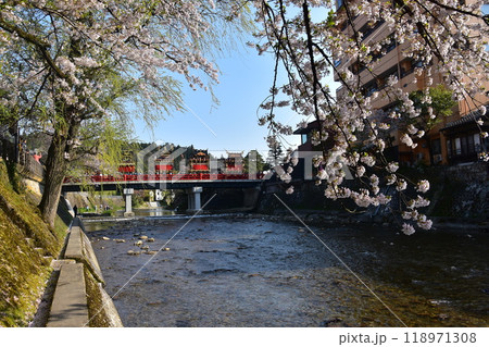日本の岐阜県高山市　春の高山祭　満開の桜と中橋を渡る屋台　美しい新緑と青空と宮川 118971308