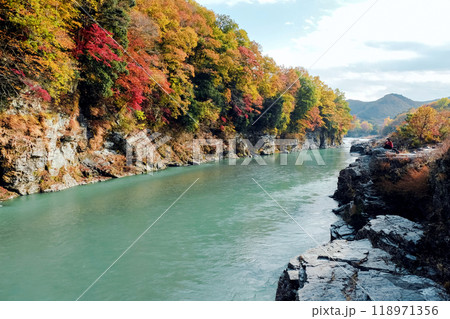 紅葉の長瀞渓谷 紅葉の長瀞渓谷 118971356