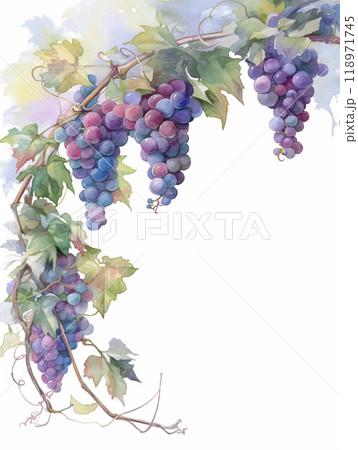 水彩で描いたぶどうのフレーム　AI画像 118971745