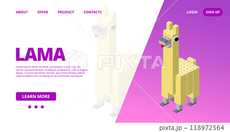 Web template with a lama. Vector 118972564