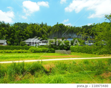 初夏の畑と農道のある里山風景 118973480