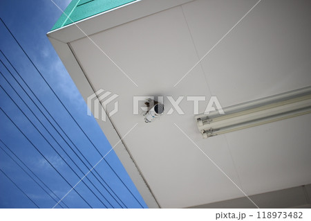 燕 ツバメの巣 燕 ツバメの巣 118973482