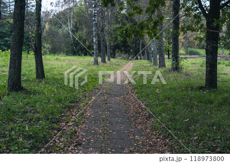 The old sidewalk footpath is overgrown with grass and covered with dry foliage The old sidewalk footpath is overgrown with grass and covered with dry foliage 118973800