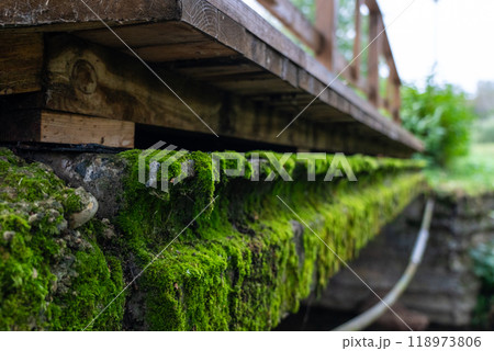 The concrete bridge over the river was covered with thick, green moss. Moss 118973806
