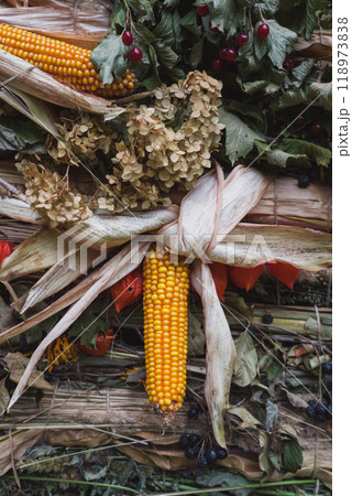Autumn background from the gifts of nature. Harvest background, Thanksgiving day 118973838