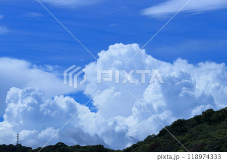 発達する入道雲　（高知県　高知市　筆山） 118974333