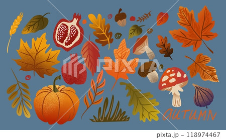 Autumn food, yellow leaves, different mushrooms. Organic fruit pomegranate and fig, leaf abstract, holiday pattern nature. Harvest pumpkin. Plant watercolor, texture tree, art fall. Vector background 118974467