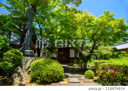 京都妙心寺の塔頭霊雲院、新緑が眩しいサツキの花が咲く風景 118974814