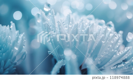 Close-Up of Dew-Covered White Flower Petals with Bokeh Background 118974888
