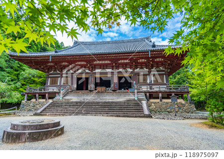 京都市右京区 神護寺の金堂 京都市右京区 神護寺の金堂 118975097