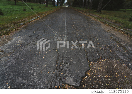 The old autumn Road. An old paved road sprinkled with dry leaves. Autumn Road 118975139