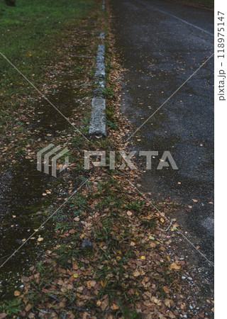 A broken curb on an old paved road. A road sprinkled with dry leaves A broken curb on an old paved road. A road sprinkled with dry leaves 118975147