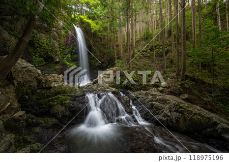 丹生の滝(にゅうのたき)和歌山県橋本市 丹生の滝(にゅうのたき)和歌山県橋本市 118975196
