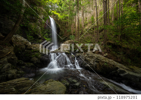 丹生の滝（にゅうのたき）和歌山県橋本市 118975201