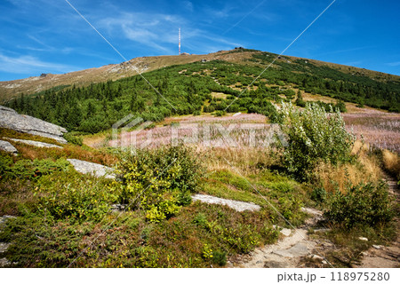 Kralova Hola from Sumiac, Slovakia Kralova Hola from Sumiac, Slovakia 118975280