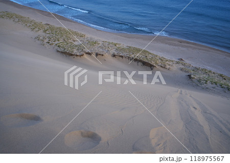 夏の鳥取県　鳥取砂丘　早朝の淡い光を浴びる砂の風紋と足跡 118975567