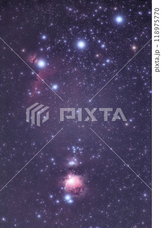 オリオン座中心部の星雲 118975770