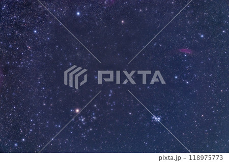 おうし座 118975773