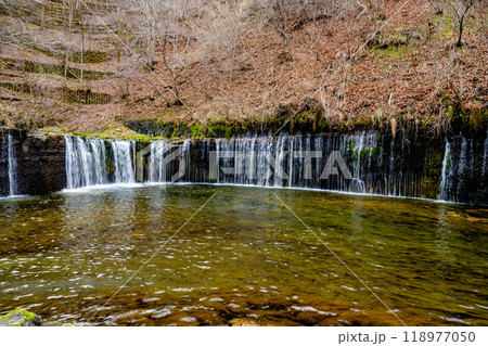 アジア人 アジアン アジア風 118977050