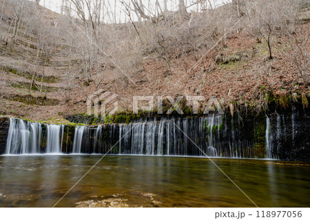 アジア人 アジアン アジア風 118977056