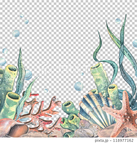 Seahorse, jellyfish, seashell, coral, starfish, sea sponge, algae, pebbles and bubbles. Hand drawn watercolor illustration of sea animals and the underwater. Template, frame square for the text. 118977162