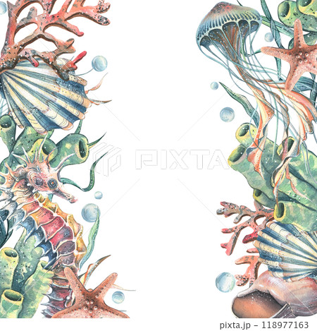 Seahorse, jellyfish, seashell, coral, starfish, sea sponge, algae, pebbles and bubbles. Hand drawn watercolor illustration of sea animals and the underwater. Template, frame square for the text. Seahorse, jellyfish, seashell, coral, starfish, sea sponge, algae, pebbles and bubbles. Hand drawn watercolor illustration of sea animals and the underwater. Template, frame square for the text. 118977163