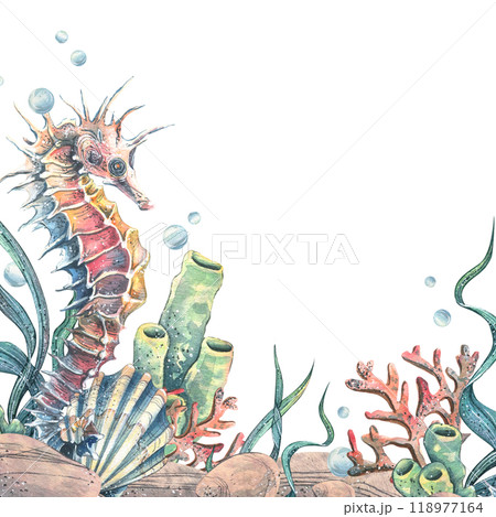 Seahorse, jellyfish, seashell, coral, starfish, sea sponge, algae, pebbles and bubbles. Hand drawn watercolor illustration of sea animals and the underwater. Template, frame square for the text. Seahorse, jellyfish, seashell, coral, starfish, sea sponge, algae, pebbles and bubbles. Hand drawn watercolor illustration of sea animals and the underwater. Template, frame square for the text. 118977164