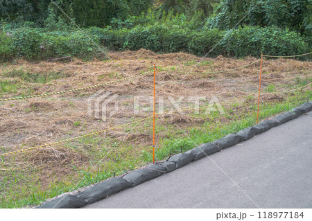 除草剤を散布した空き地 118977184