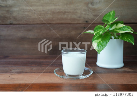 Milk in a glass cup and pothos plant on wooden counter 118977303