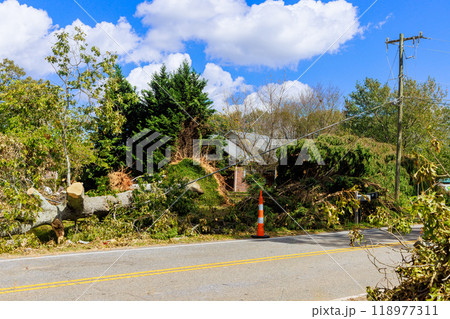 When stormy winds uproot tree on ground, everything around is damaged is during stormy hurricane 118977311