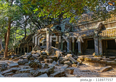 ンボジア タ・プローム遺跡 ンボジア タ・プローム遺跡 118977557