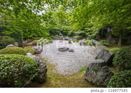 将軍塚 青龍殿庭園の枯山水(京都府京都市) 将軍塚 青龍殿庭園の枯山水(京都府京都市) 118977585