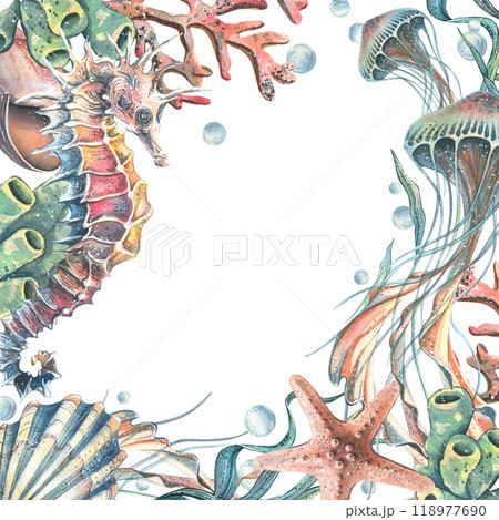 Seahorse, jellyfish, seashell, coral, starfish, sea sponge, algae, pebbles and bubbles. Hand drawn watercolor illustration of sea animals and the underwater. Template, frame square for the text. 118977690
