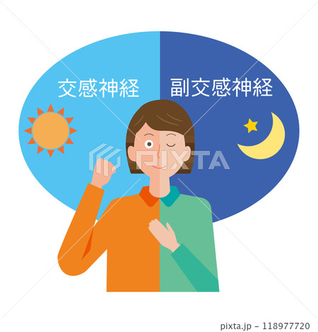 交感神経と副交感神経 118977720