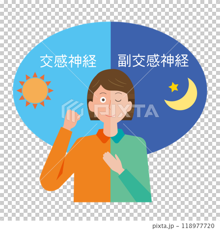 交感神経と副交感神経 118977720